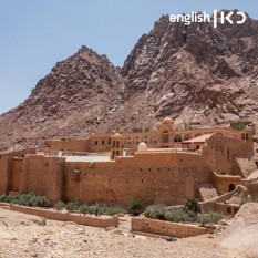 mtsinai
