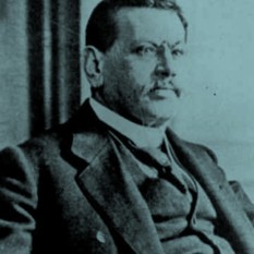 cat24169_img409331248.jpg