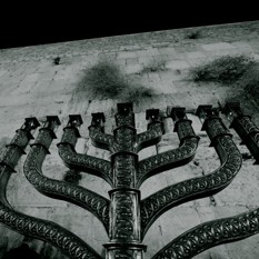 חתוכה וחסן 141223