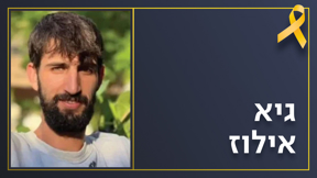 גיא אילוז