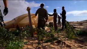 300 מטר מכוח צה"ל: המאבק בחממות הסמים שבשטחי האש בדרום