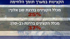 צהל חושף נתונים