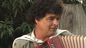 מאיר אריאל