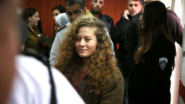 תמימי בבית המשפט