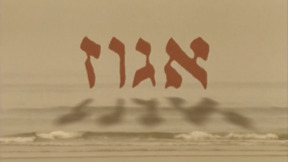 אגוז | פתיח