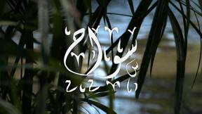 سوّاح 