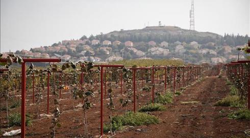 המתיחות בצפון: חקלאים בכמה אזורים הונחו שלא להתקרב לגבול עם לבנון