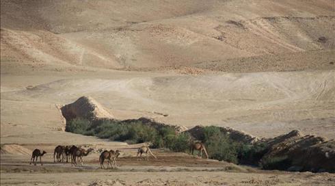 נמצאו ששת המטיילים שאבד עמם הקשר במדבר יהודה (1)