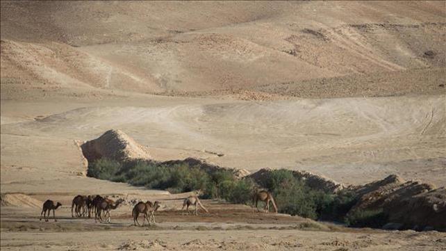 חיפוש אחר נעדרים, מדבר יהודה
