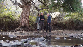 בחסות המלחמה: צה"ל הופך את פנינת הטסע בגולן לשטח אימונים