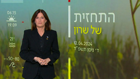 תחזית