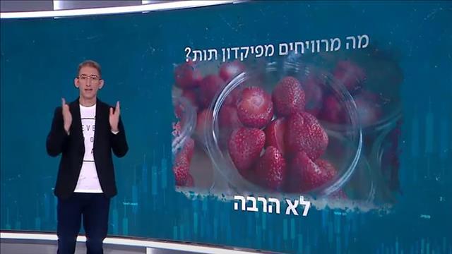 שאול אמסטרדמסקי, פיקדון תות