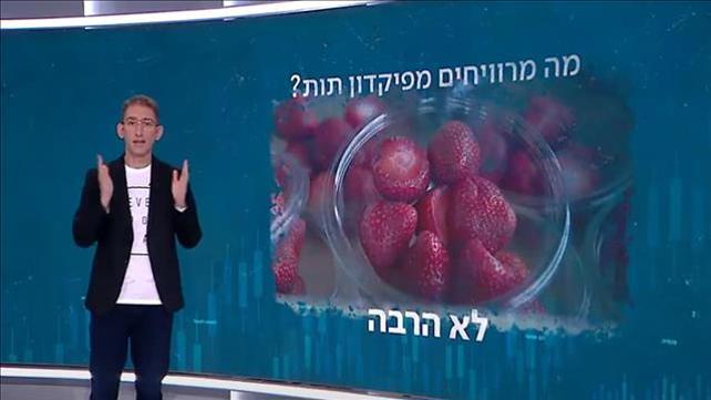שאול אמסטרדמסקי, פיקדון תות