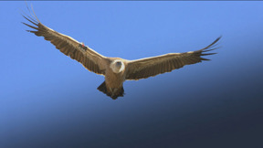 S0412481_ITEM08_pic