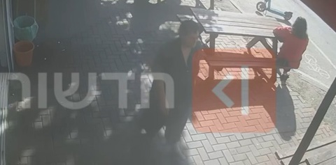 פרופ' נורית יערי