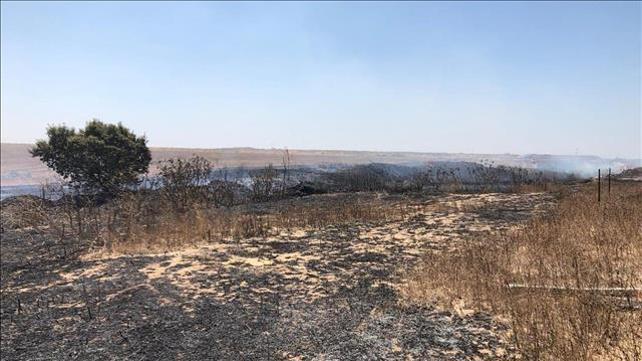 שריפה ביער כיסופים בעוטף עזה, שריפה מבלוני תבערה