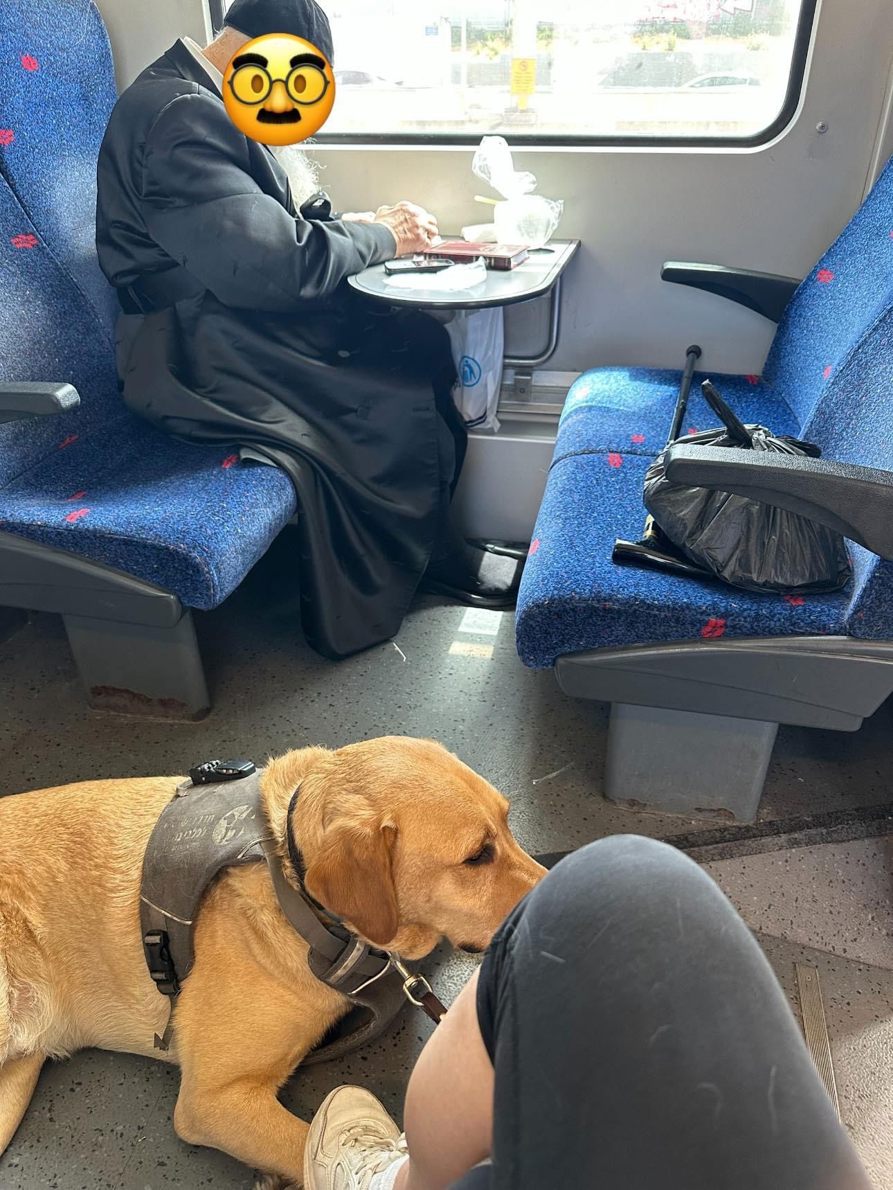 בעלי מוגבלויות רכבת רוני אוחיון