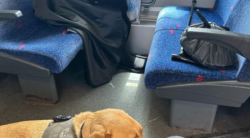 אישה או חרדי - למי יש קדימות במושבים לבעלי מוגבלויות?