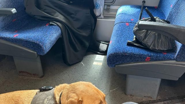 בעלי מוגבלויות רכבת רוני אוחיון