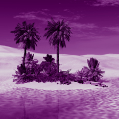 SHUTERSTUCK, אואזיס