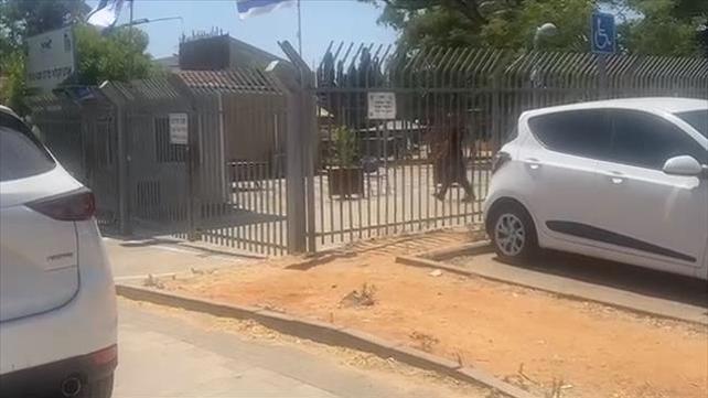 בית הספר החקלאי בפרדס חנה
