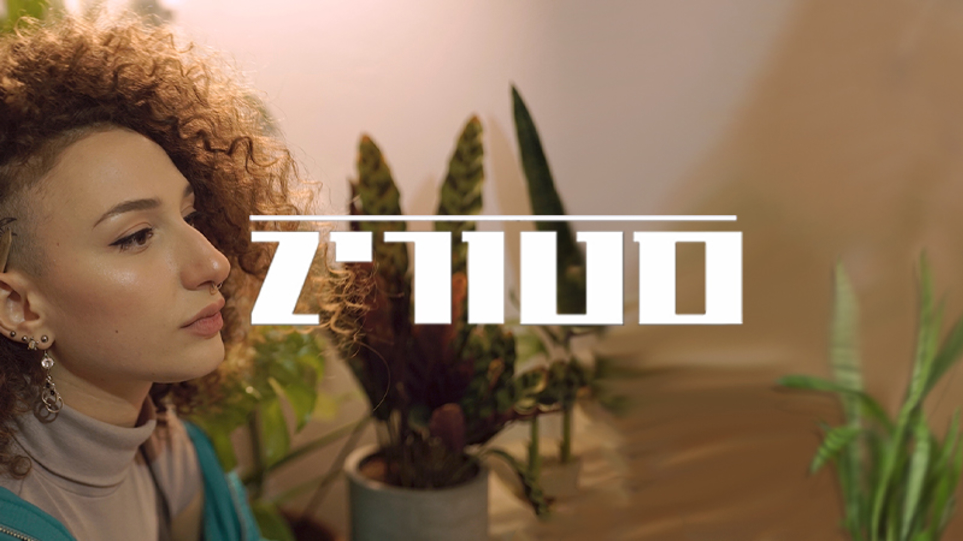 סטוריZ