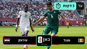 תקציר