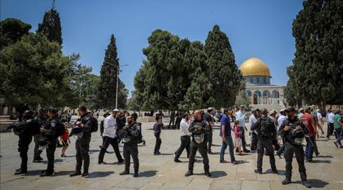 השר פריג' על עליית יהודים להר הבית: "לא תורם דבר"