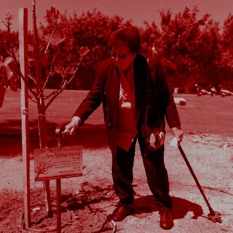 ט"ו בשבט לזכר הנופלים