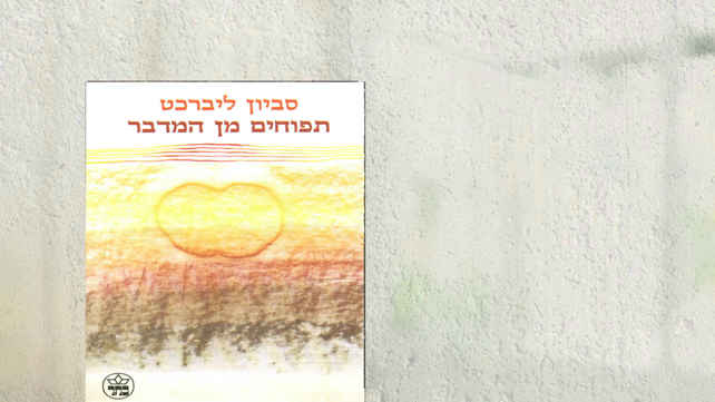 מערכת כאן