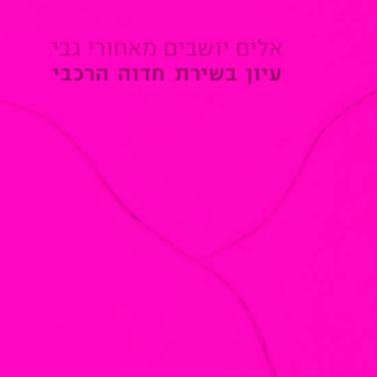 מסיגת גבול