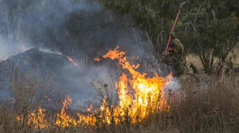 צה"ל תקף את רכבו של אחד ממובילי חוליות עפיפוני התבערה בעזה