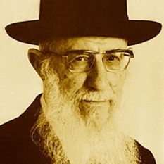 cat31227_img405043733.jpg