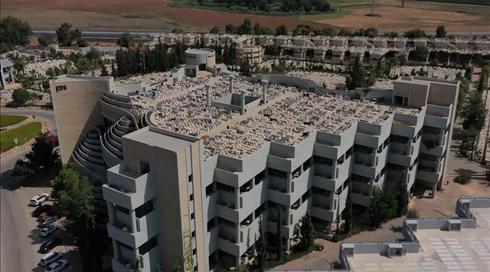 "קבורה שחושבת גם על החיים": קיבוץ יבנה מחדש מנהג יהודי קדום