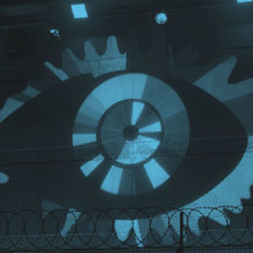 cat16824_img598029902.jpg
