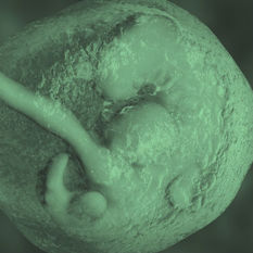 cat9220_img203027430.jpg