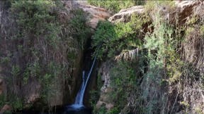 גילוי מדהים: המפל הסודי של בקעת הירדן