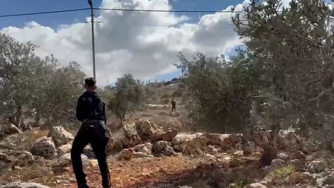 אלות, אבנים - ומחסור באכיפה של צה