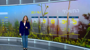 התחזית 15.01.25