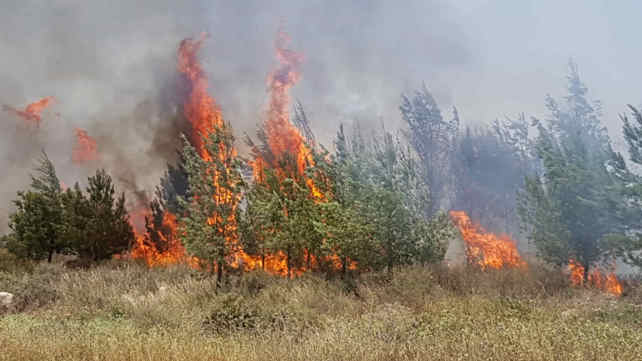 השריפה באזור גבעת כ"ח