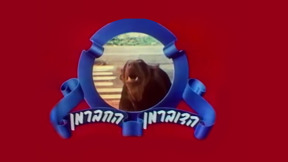1920 1080 דובי דוברמן לוגו טלוויזיה
