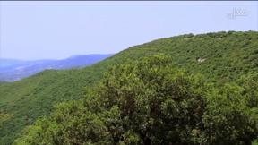 سوّاح الموسم الثاني | جبل الجرمق