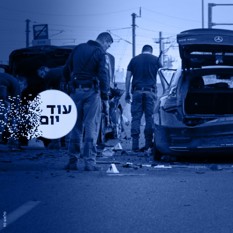 אלימות בחברה הערבית ריבועי 120325
