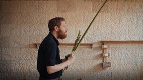 נדב הלפרין - כאן אורייתא