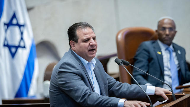 איימן עודה