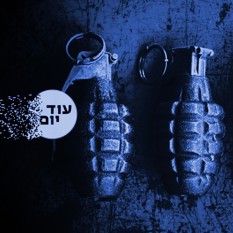 שבכ נגד הפשיעה ריבועי 240224