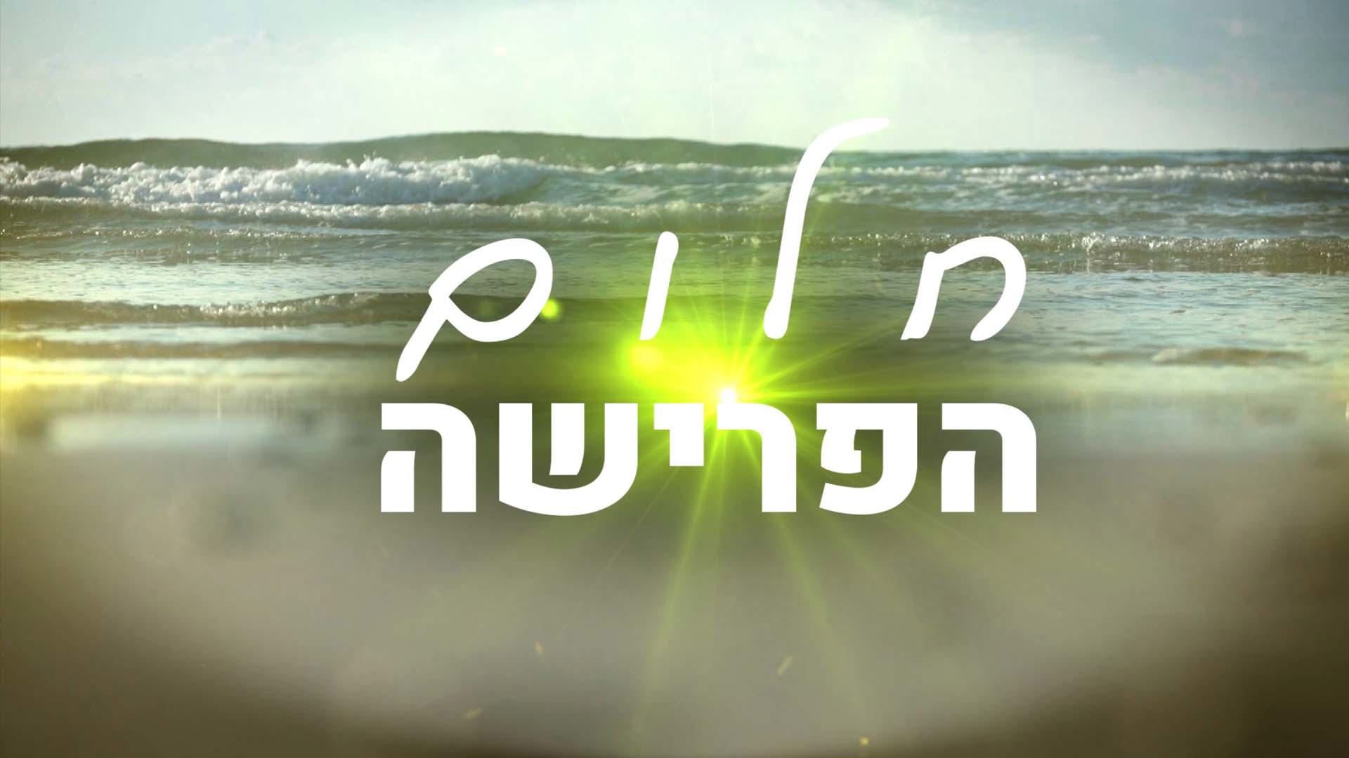 חלום הפרישה
