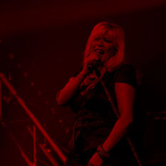 cat8445_img429259176.jpg
