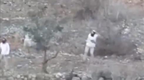 תיעוד: מתנחלים מאזור יצהר מיידים אבנים לעבר פלסטינים