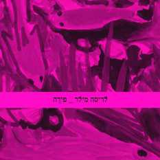 כריכת הספר 'פירה'